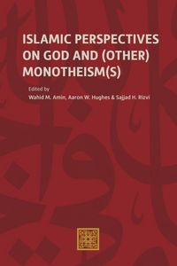 Produktbild: Islamic Perspectives on God and (Other) Monotheism(s)