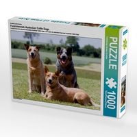 Produktbild: CALVENDO Puzzle Ein Motiv aus dem Kalender Faszinierende Australian Cattle Dogs | 1000 Teile Lege-Gr&ouml;&szlig;e 64x48cm Foto-Puzzle f&uuml;r gl&uuml;ckliche Stunden