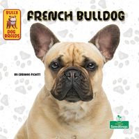 Produktbild: French Bulldog
