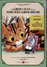 Produktbild: Le gros chat et la sorci&egrave;re grincheuse. Coffret int&eacute;grale