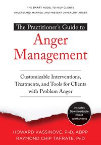 Produktbild: Practitioner's Guide to Anger Management