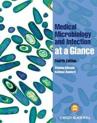 Produktbild: Medical Microbiology and Infection at a Glance