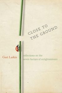 Produktbild: Close to the Ground