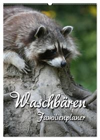 Produktbild: Waschb&auml;ren Familienplaner (Wandkalender 2026 DIN A2 hoch), CALVENDO Monatskalender