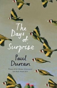 Produktbild: The Days of Surprise