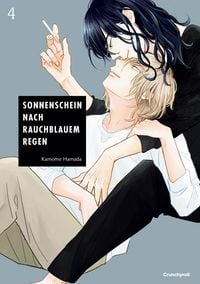 Produktbild Sonnenschein nach rauchblauem Regen – Band 4