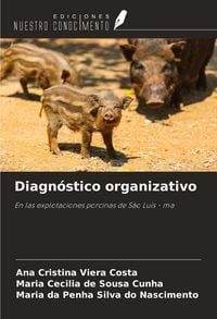 Produktbild: Diagn&oacute;stico organizativo