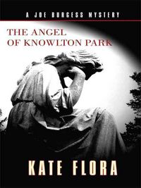 Produktbild: Angel Of Knowlton Park -Lp