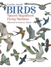 Produktbild: Birds
