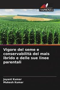 Produktbild: Vigore del seme e conservabilit&agrave; del mais ibrido e delle sue linee parentali