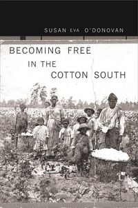 Produktbild: Becoming Free in the Cotton South
