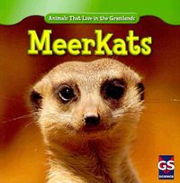 Produktbild: Meerkats