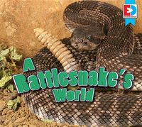 Produktbild: A Rattlesnake's World
