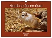 Produktbild: Niedliche Rennm&auml;use (Wandkalender 2026 DIN A3 quer), CALVENDO Monatskalender