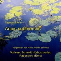 Produktbild: Aquis submersus