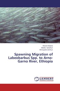 Produktbild: Spawning Migration of Labeobarbus Spp. to Arno-Garno River, Ethiopia