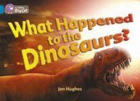 Produktbild: What Happened to the Dinosaurs?