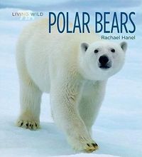 Produktbild: Polar Bears
