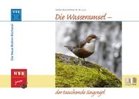 Bild vom Artikel Die Wasseramsel - der tauchende Singvogel vom Autor Stefan Bosch