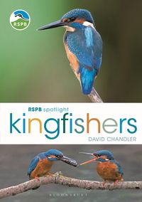 Produktbild: RSPB Spotlight Kingfishers