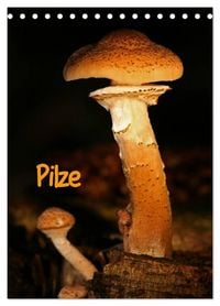 Produktbild: Pilze (Tischkalender 2027 DIN A5 hoch), CALVENDO Monatskalender