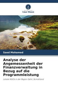 Produktbild: Analyse der Angemessenheit der Finanzverwaltung in Bezug auf die Programmleistung