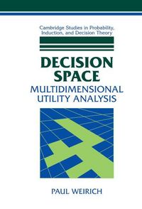 Produktbild: Decision Space