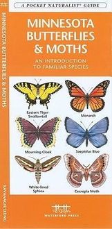Produktbild: Minnesota Butterflies & Moths
