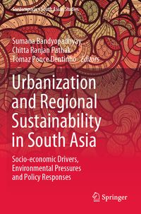 Produktbild: Urbanization and Regional Sustainability in South Asia