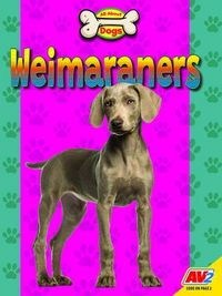 Produktbild: Weimaraners