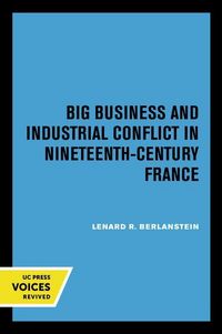 Produktbild: Big Business and Industrial Conflict in Nineteenth-century France