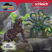 Produktbild: Folge 15: Duell im Dschungel