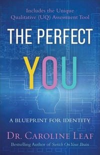 Produktbild: The Perfect You - A Blueprint for Identity