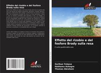Produktbild: Effetto del rizobio e del fosforo Brady sulla resa