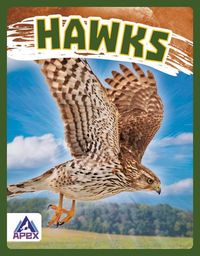 Produktbild: Hawks