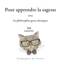 Produktbild: 500 citations pour apprendre la sagesse avec les philosophes grecs classiques