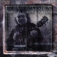 Produktbild: Big Boy Blues and Green 4CD Clamshell Box Set