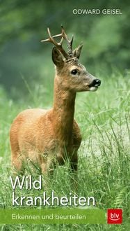 Produktbild: Wildkrankheiten