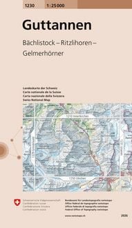 Produktbild: Swisstopo 1 : 25 000 Guttannen