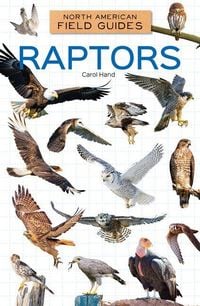 Produktbild: Raptors