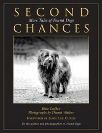 Produktbild: Second Chances