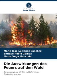 Produktbild: Die Auswirkungen des Feuers auf den Wald
