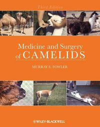 Produktbild: Medicine and Surgery of Camelids