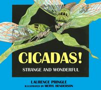 Produktbild: Cicadas!