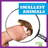 Produktbild: Smallest Animals