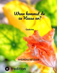 Produktbild: Wann kommst du zu Hause an?