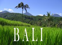 Bild vom Artikel Bali - Ein Bildband vom Autor 