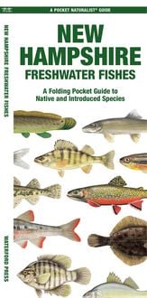 Produktbild: New Hampshire Freshwater Fishes