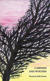 Produktbild: Caresses and Wounds