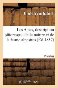 Produktbild: Les Alpes, Description Pittoresque de la Nature Et de la Faune Alpestres. Planches